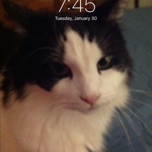 Meet your Posher, Jan